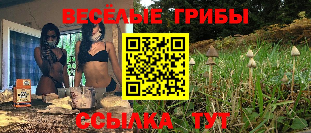 Казань  Псилоцибиновые грибы MAGIC MUSHROOMS  Вход с VPN 