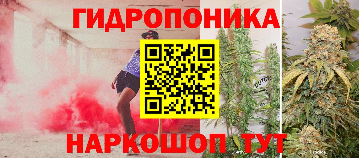Конопля SATIVA & INDICA  Вход с VPN  Конопля сатива  Казань  Каннабис LSD WEED 